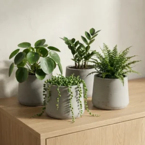 4x Patt Grey Washed Pflanzkübel Grau aus Fiberclay Ø:20 cm || Abgebildete Größen: L Ø:20 x H:16,5 cm