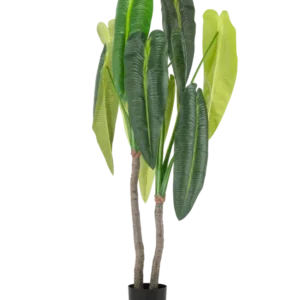 De Kunstplant Anthurium 180 cm heeft twee bruine stelen en grote, langwerpige groene bladeren in verschillende tinten, in een kleine zwarte pot tegen een witte achtergrond.