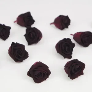 Stabilisierte Rosen Kiara 2 cm - 12 Stück - Bordeaux - Si-nature