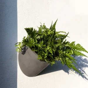 Hanging Wally Puk Wandpflanzschale Grau aus Fiberstone – runde Wandschale im Lifestyle